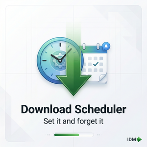 IDM官网 - IDM快速DNS日志